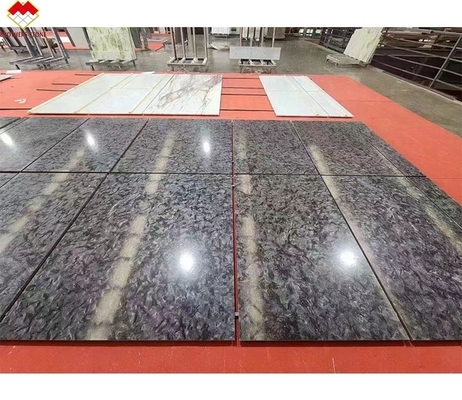 อัพเกรดภายในของคุณด้วย Versaceblack คลาสสิก ดํา Quartzite Polished Flooring