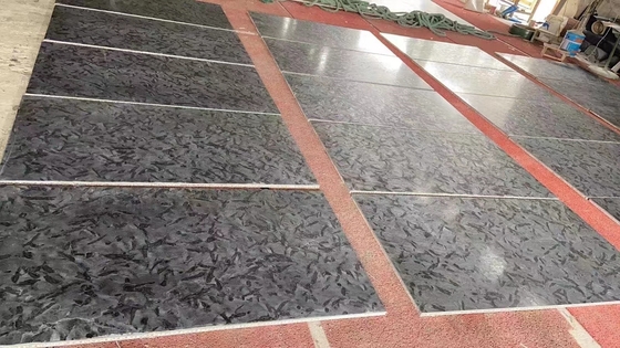 อัพเกรดภายในของคุณด้วย Versaceblack คลาสสิก ดํา Quartzite Polished Flooring