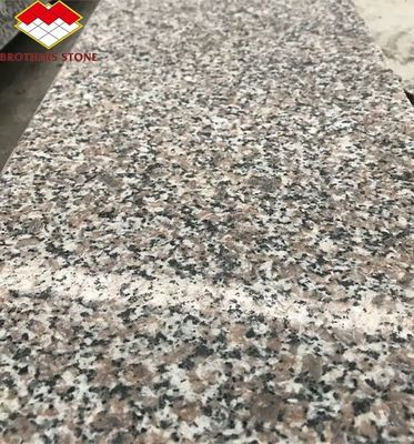โมเดิร์น G664 ซัพพลายเออร์ แกรนิต แผ่น 60x60 Porrno แกรนิต ไตล์สําหรับสวนการออกแบบกราฟิก