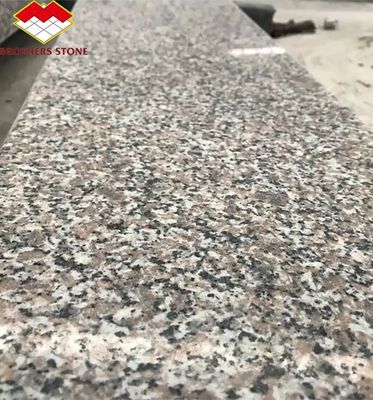 โมเดิร์น G664 ซัพพลายเออร์ แกรนิต แผ่น 60x60 Porrno แกรนิต ไตล์สําหรับสวนการออกแบบกราฟิก