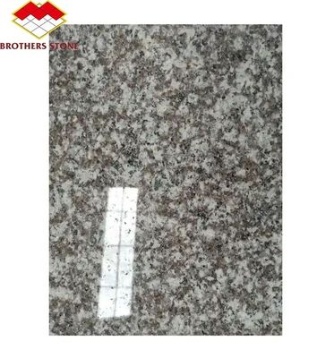 โมเดิร์น G664 ซัพพลายเออร์ แกรนิต แผ่น 60x60 Porrno แกรนิต ไตล์สําหรับสวนการออกแบบกราฟิก