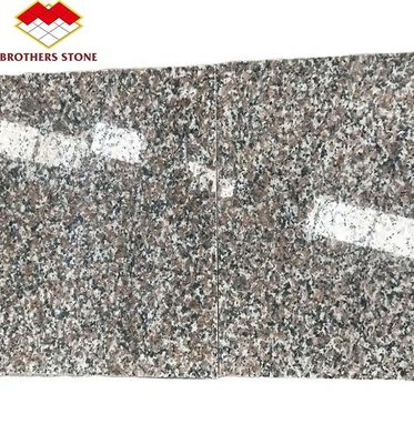 โมเดิร์น G664 ซัพพลายเออร์ แกรนิต แผ่น 60x60 Porrno แกรนิต ไตล์สําหรับสวนการออกแบบกราฟิก
