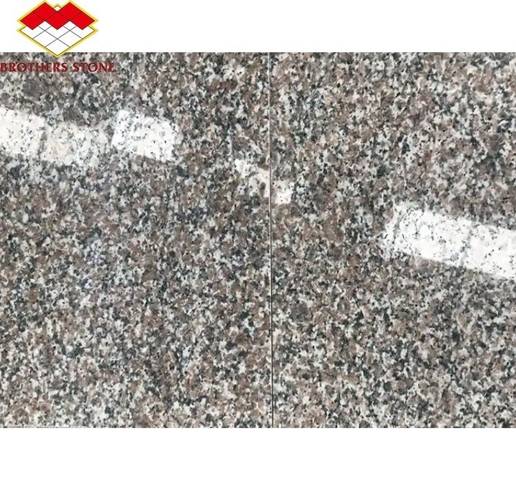 โมเดิร์น G664 ซัพพลายเออร์ แกรนิต แผ่น 60x60 Porrno แกรนิต ไตล์สําหรับสวนการออกแบบกราฟิก